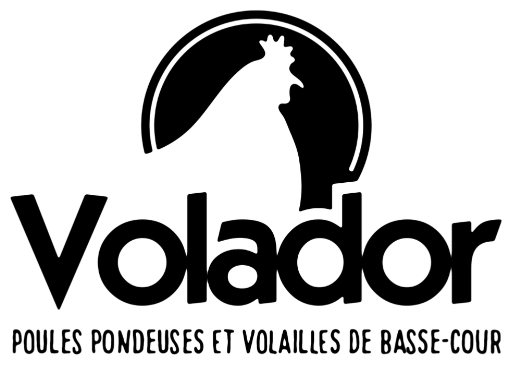 Volador