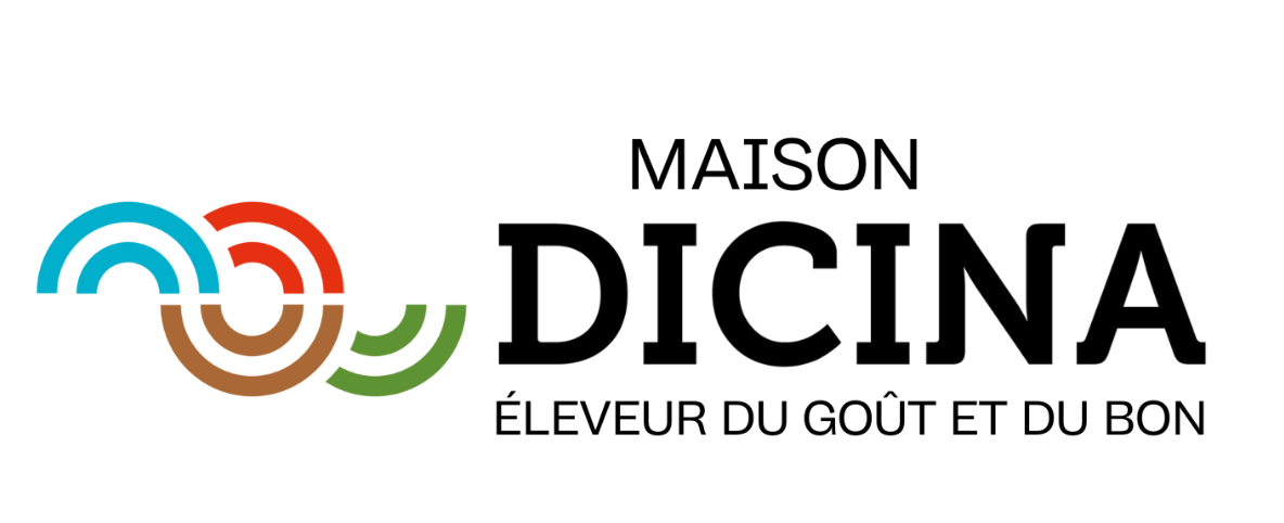 Dicina